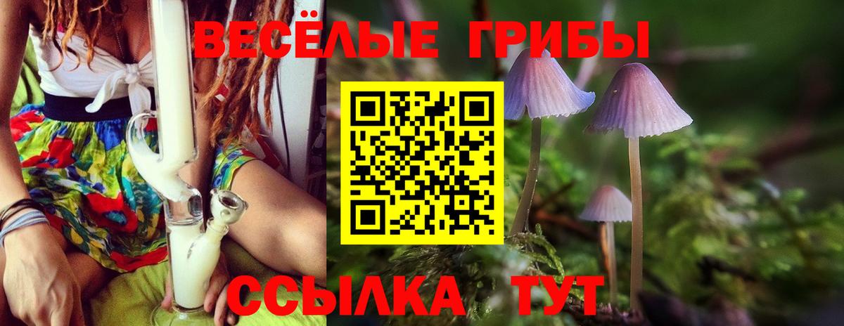 Галлюциногенные грибы Magic Shrooms Ижевск